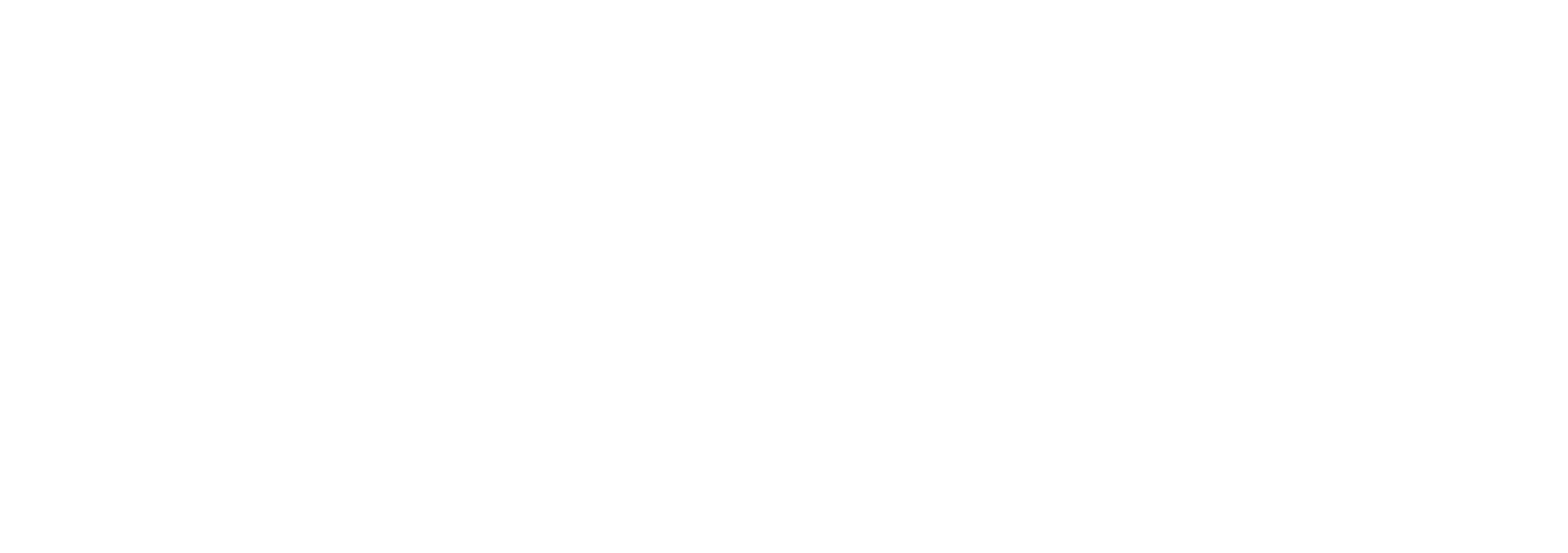 Sinergia Technology